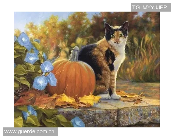 足球明星与猫的奇妙缘分揭秘哪位球星对猫情有独钟