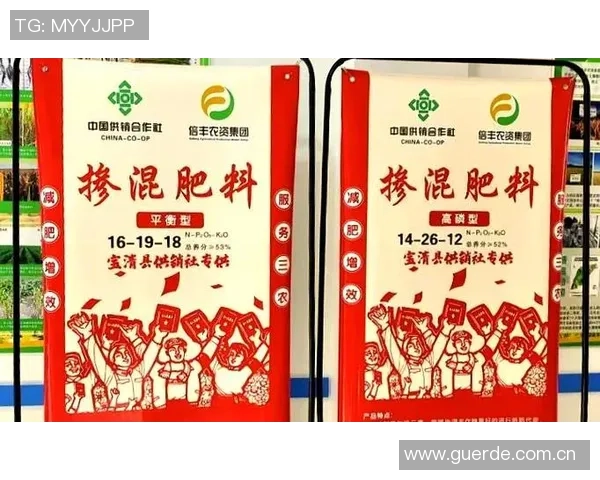 北京排球队快攻革新之路：战术变革与技术提升的深度解析