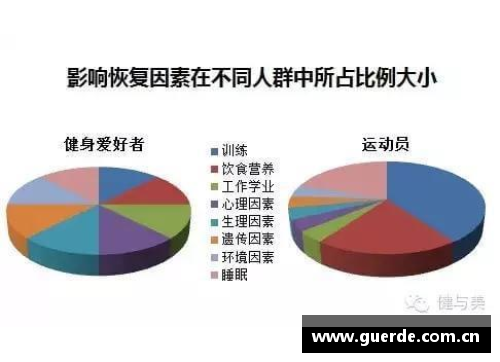 职业球员的营养与饮食：优化训练表现的关键因素